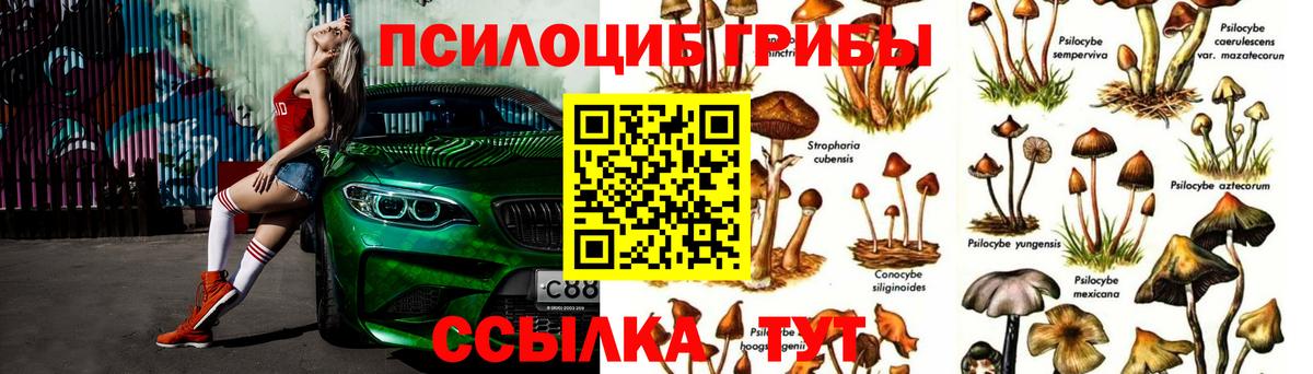 Мефедрон кристаллы  Кокаин  Чапаевск  Вейп ТГК  COCAIN  МАРИХУАНА  ГАШИШ  Конопля  Вход с VPN 