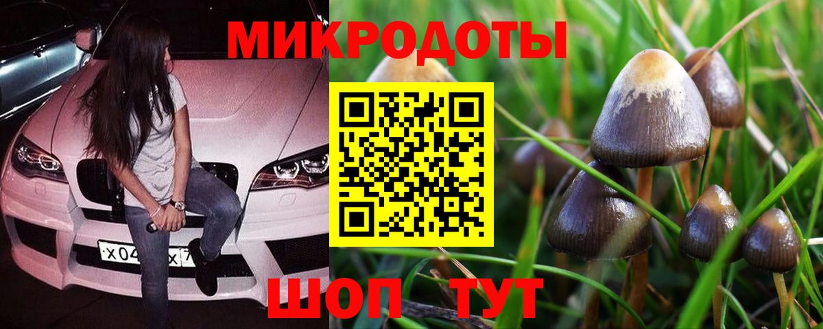 Галлюциногенные грибы Cubensis  Вход с VPN  Чапаевск 